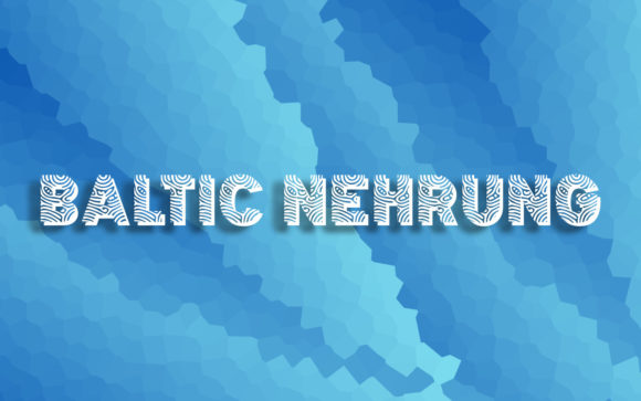 Baltic Nehrung: A Creative Font for Bold Visual Ideas