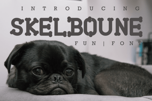 Skelboune: A Modern Serif with a Playful Spirit